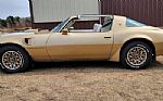 1979 Trans Am Thumbnail 2