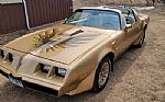 1979 Trans Am Thumbnail 3