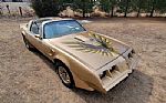 1979 Pontiac Trans Am