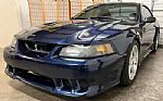 2001 Mustang SVT Cobra Thumbnail 52