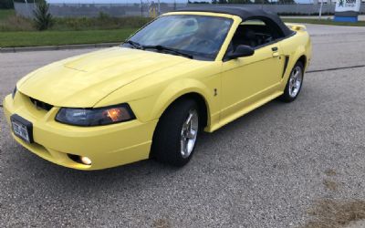 Photo of a 2001 Ford Mustang SVT Cobra Convertible for sale