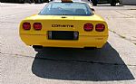 1995 Corvette Thumbnail 12