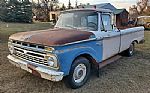 1966 Ford F-100