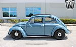 1959 Beetle Thumbnail 4