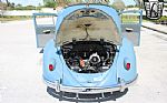 1959 Beetle Thumbnail 11