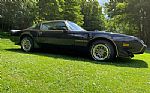 1979 Pontiac Firebird Trans Am