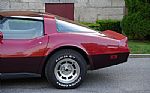 1981 Corvette Thumbnail 11