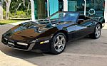 1989 Corvette Thumbnail 10