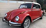 1970 Beetle Thumbnail 2