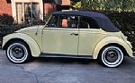 1969 Beetle Thumbnail 6