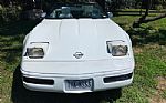 1992 Corvette Thumbnail 9