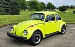 1974 Bug Thumbnail 9