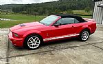 2007 Ford Shelby GT500