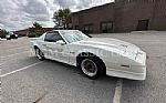 1989 Firebird Trans Am Thumbnail 10