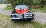 1979 Trans AM Thumbnail 3