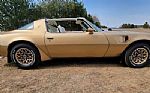 1979 Trans Am Thumbnail 13