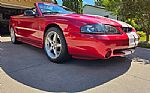 1996 Ford Mustang SVT Cobra