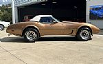 1975 Corvette Thumbnail 11