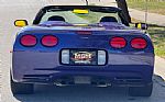 1998 Corvette Thumbnail 12