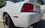 2003 Mustang SVT Cobra Thumbnail 13