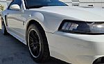 2003 Mustang SVT Cobra Thumbnail 59