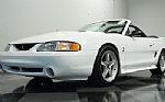 1998 Mustang Cobra SVT Convertible Thumbnail 19