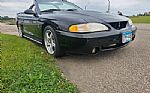 1998 Mustang SVT Cobra Thumbnail 4