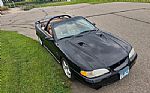 1998 Mustang SVT Cobra Thumbnail 13