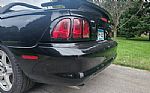 1998 Mustang SVT Cobra Thumbnail 46