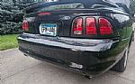 1998 Mustang SVT Cobra Thumbnail 51