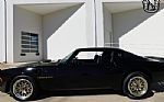 1981 Trans Am Thumbnail 6