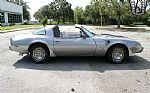 1979 Firebird Thumbnail 19