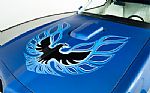 1978 Trans Am Thumbnail 41