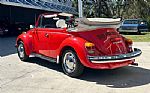 1979 Beetle Thumbnail 7