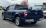 2019 F-150 Thumbnail 4