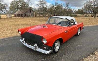 Photo of a 1956 Ford Thunderbird for sale