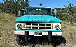 1968 D100 Pickup Thumbnail 8