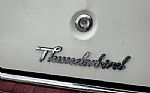 1977 Thunderbird Thumbnail 43