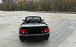 2003 Mustang Thumbnail 4