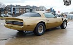 1979 Firebird Thumbnail 4