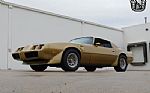 1979 Firebird Thumbnail 6