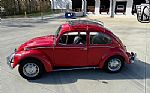 1967 Beetle Thumbnail 3