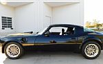 1979 Firebird Thumbnail 6