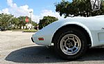 1979 Corvette Thumbnail 22