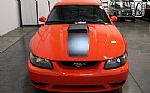 2004 Mustang Thumbnail 10