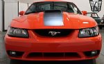 2004 Mustang Thumbnail 14