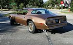 1978 Firebird Thumbnail 6