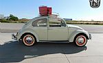 1966 Beetle Thumbnail 3