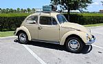 1968 Beetle Thumbnail 2