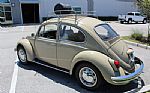 1968 Beetle Thumbnail 6